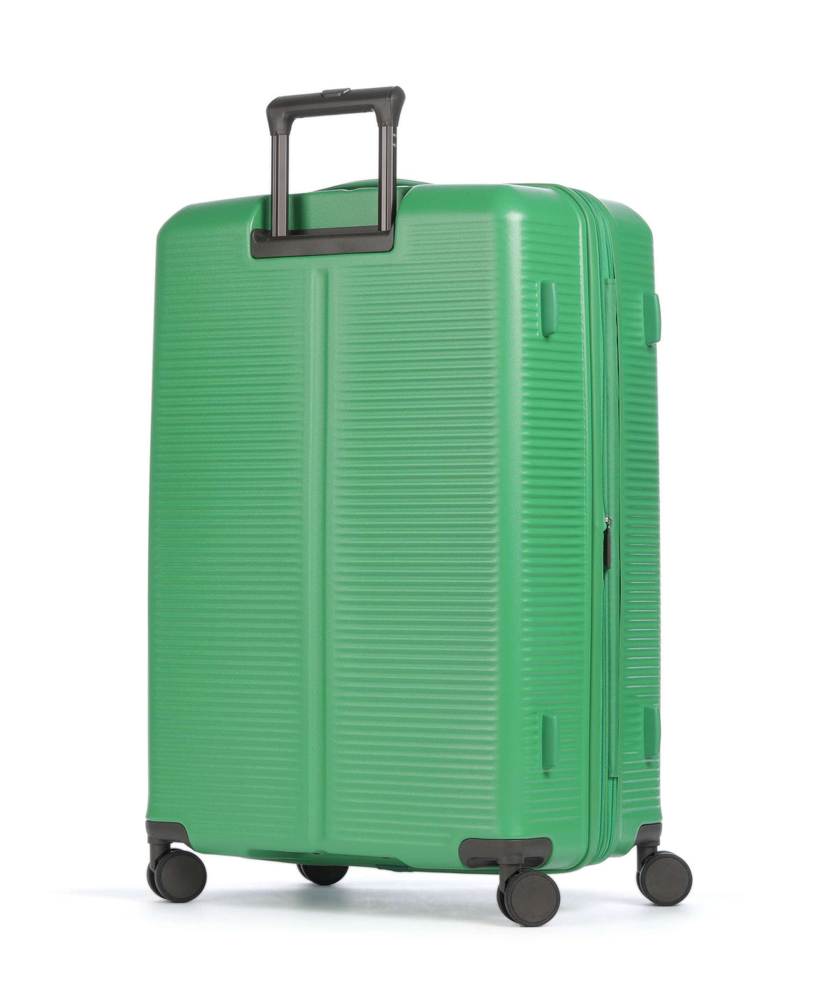 Jump Hendaye Spinner (4 wheels) green