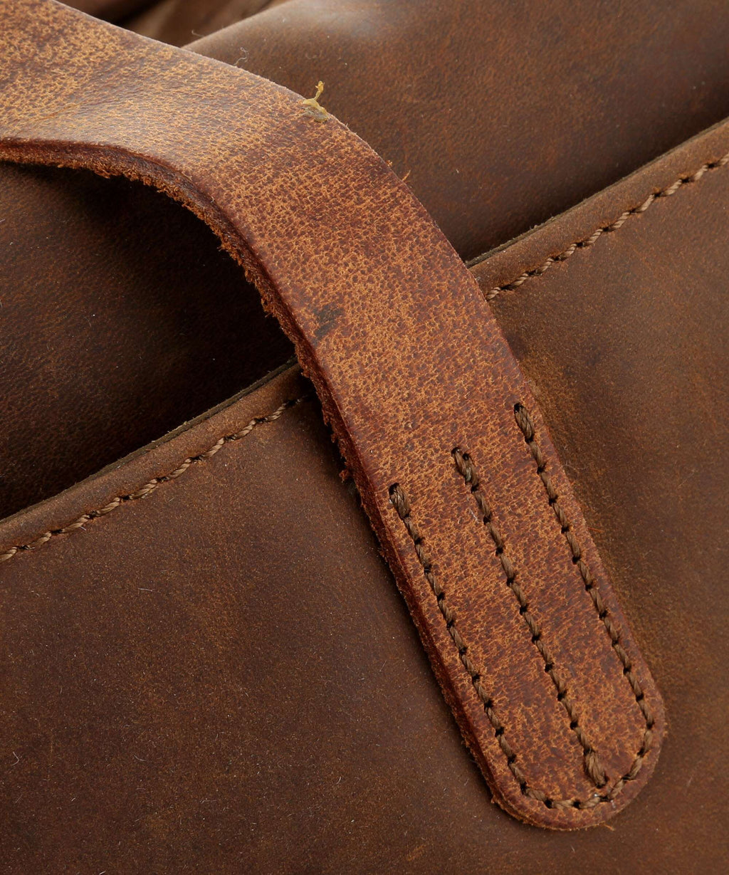 Harold's Antic Briefcase natur