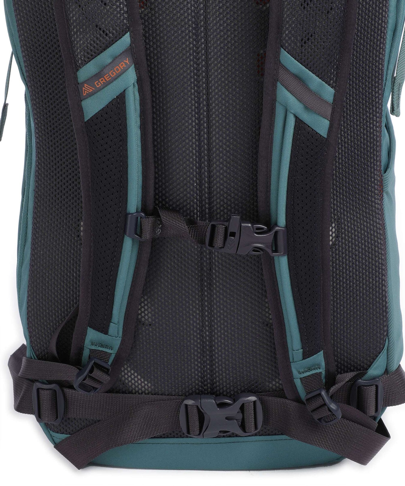 Gregory Nano 28 Hiking backpack rio blue