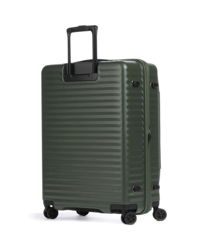 Echolac Celestra FA M Spinner (4 wheels) moss green