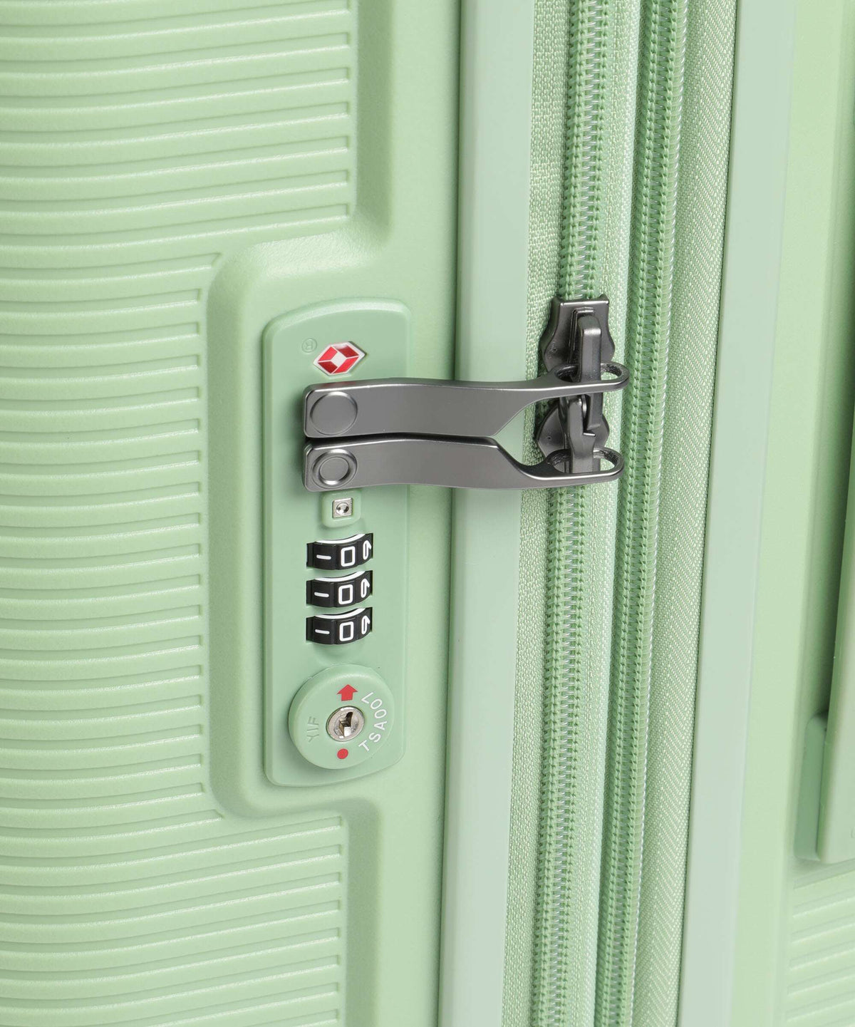 Echolac Forza M Spinner (4 wheels) reef green