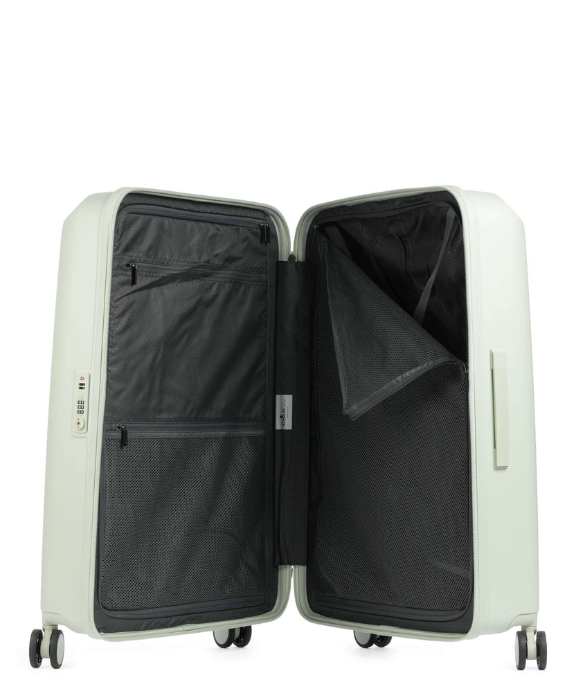 Echolac Panda L Spinner (4 wheels) pistachio green