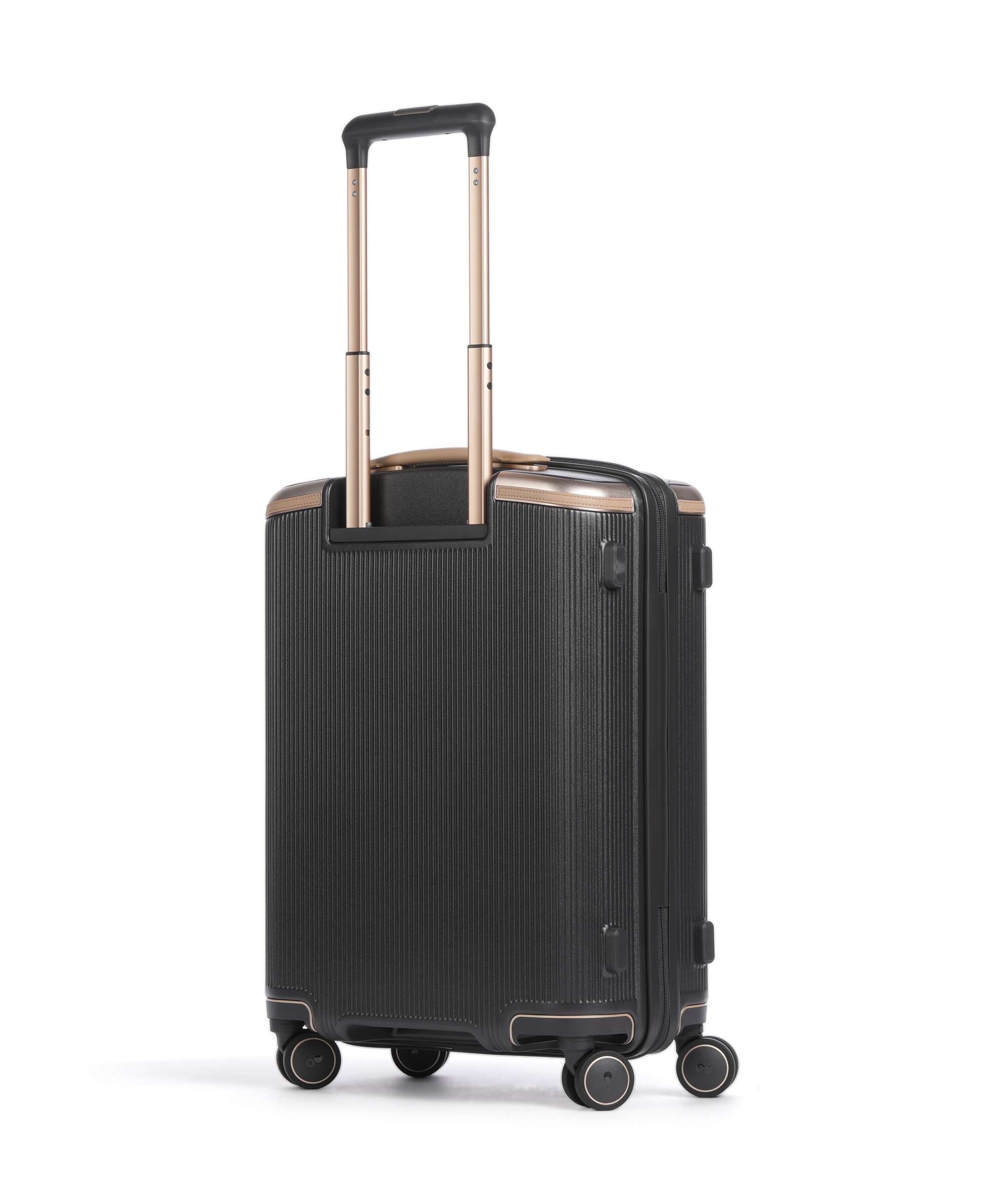 Echolac Dynasty VLX S Spinner (4 wheels) dark chocolate