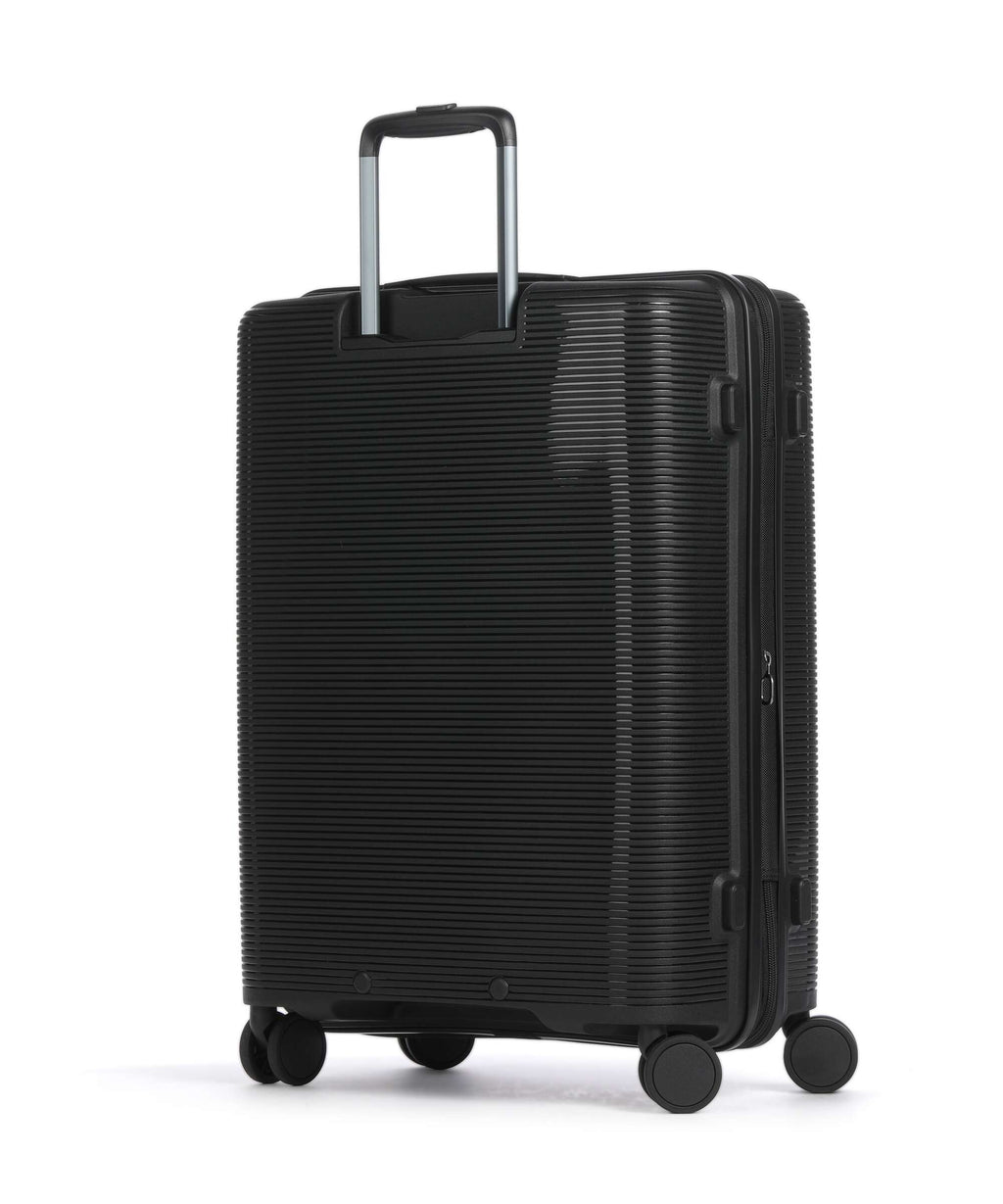 Echolac Forza M Spinner (4 wheels) volcanic black