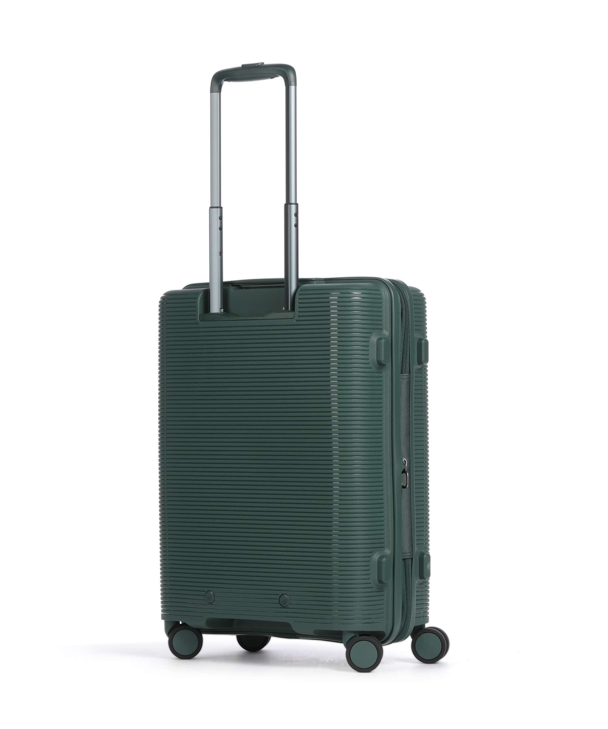 Echolac Forza S Spinner (4 wheels) pine green