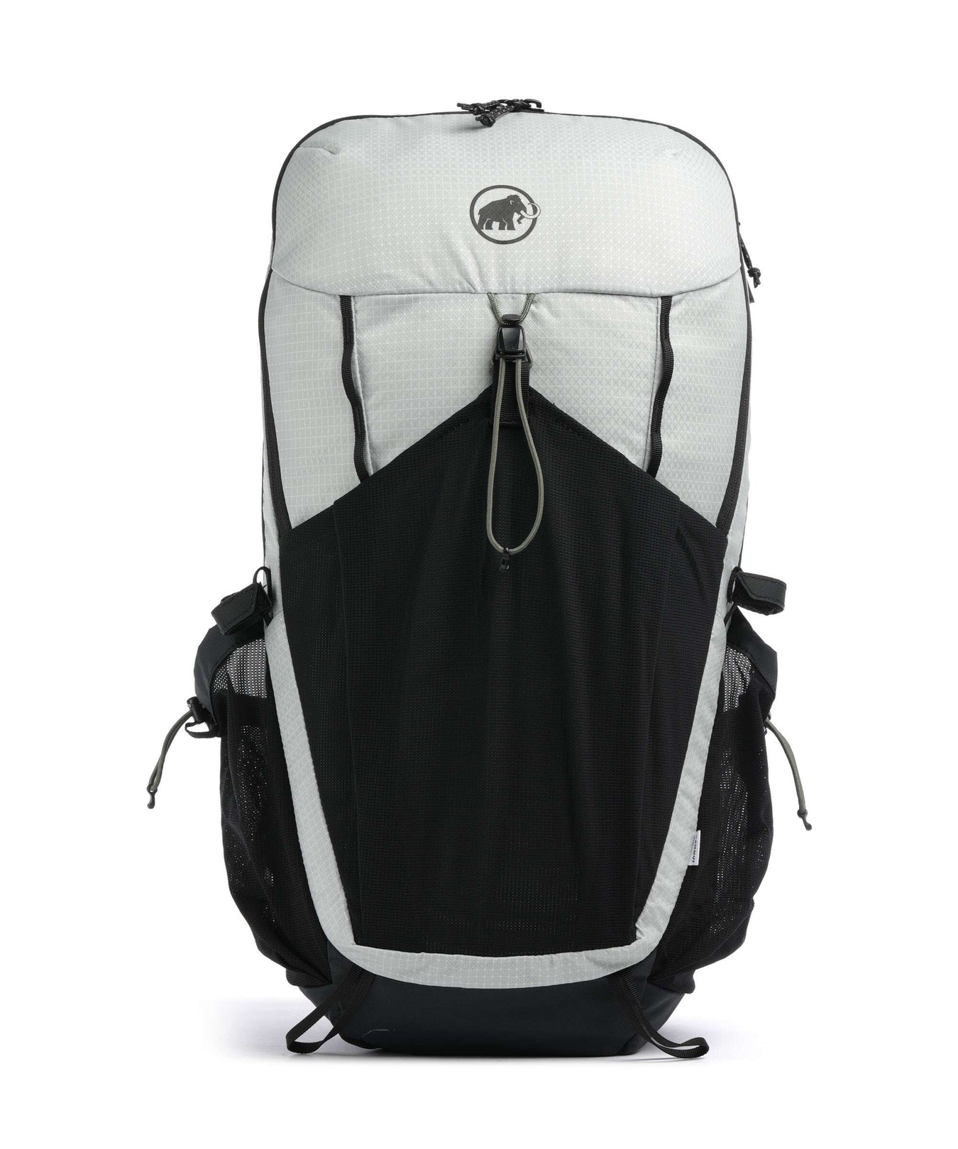 Mammut Ducan 22 Hiking backpack silver sage/black