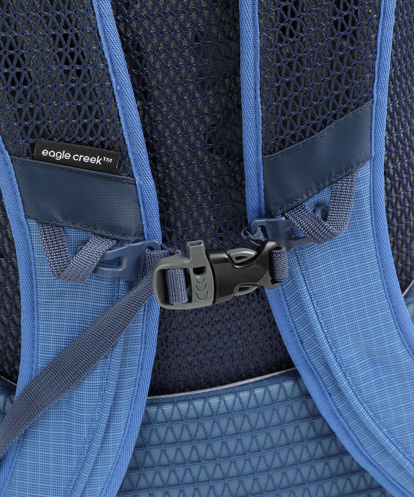 Eagle Creek Ranger 26 Backpack mesa blue/aizome blue