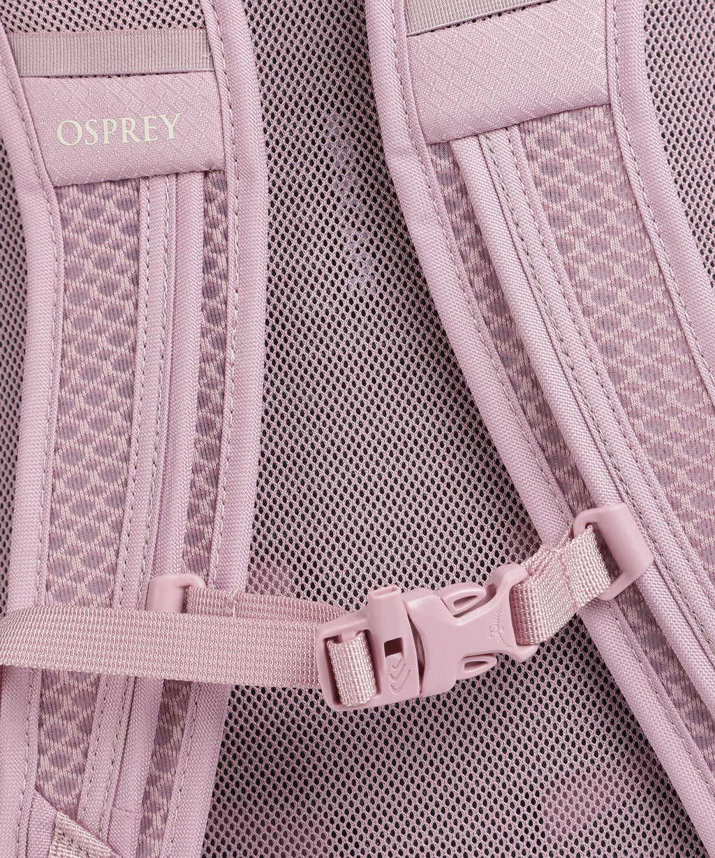 Osprey Daylight Plus Backpack iris pink