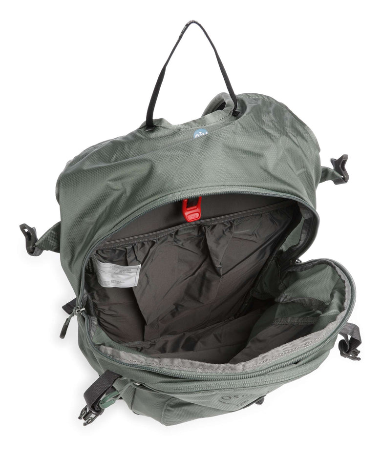 Osprey Sportlite 20 Hiking backpack pine leaf green